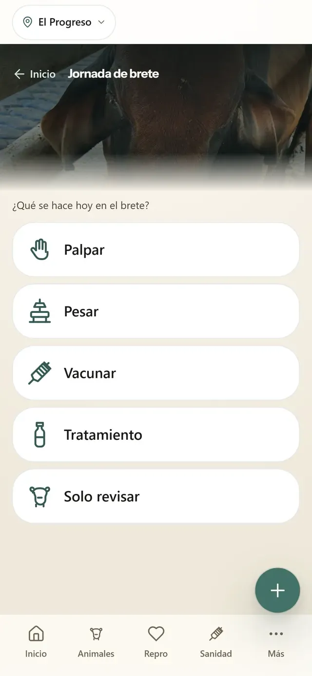 Captura real de Jornada de brete en la app Hatogest: la pregunta «¿Qué se hace hoy en el brete?» con sus opciones