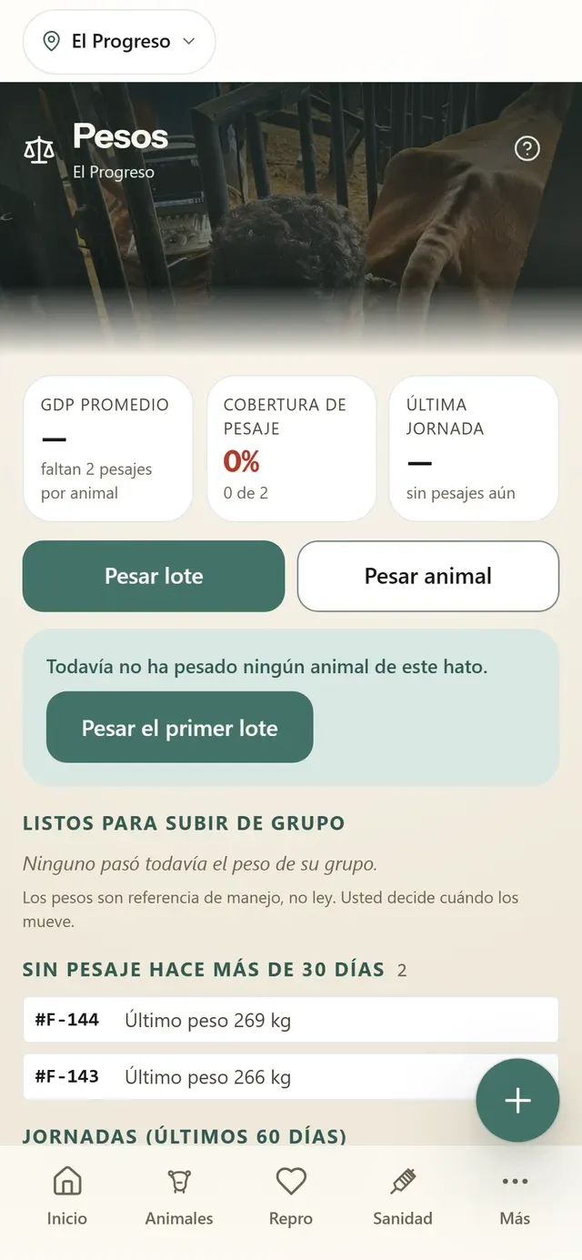 Captura real de Pesos en la app Hatogest: GDP promedio, cobertura de pesaje y animales sin pesaje hace más de 30 días